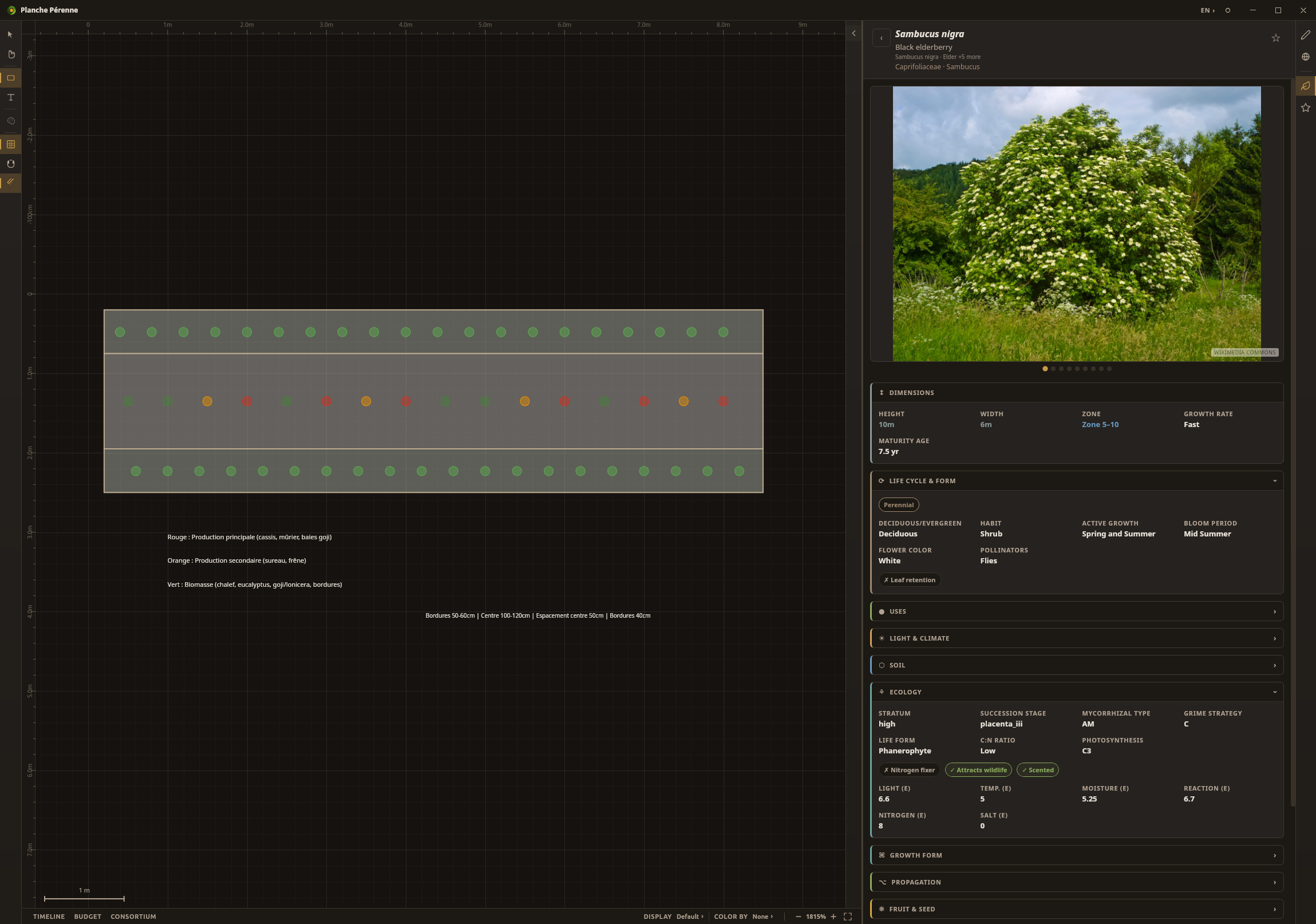 Canopi app — design canvas with plant database