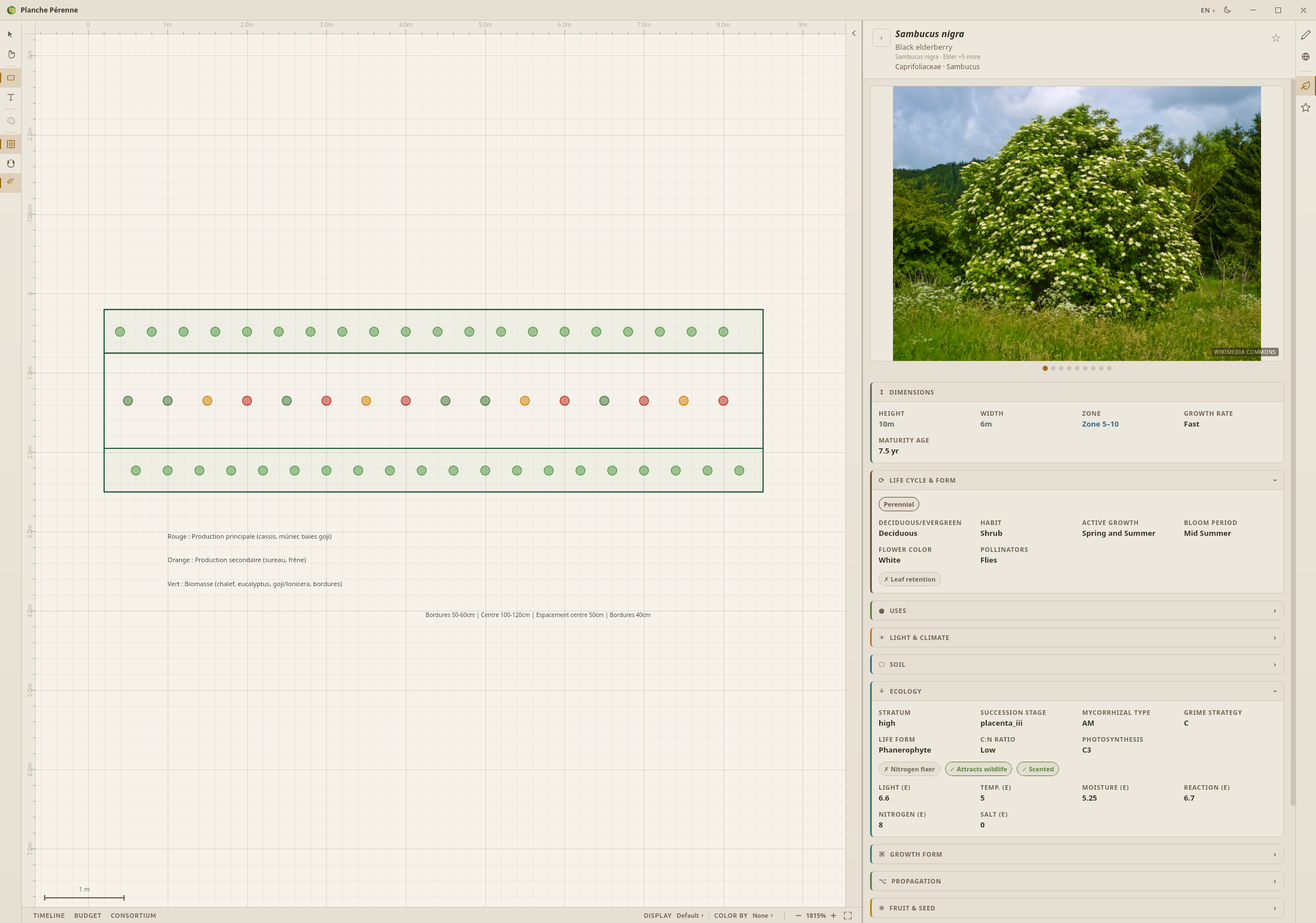 Canopi app — design canvas with plant database
